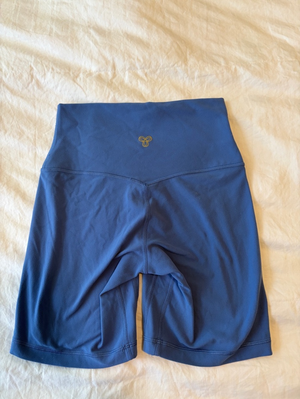 Aritiza Golden blue 5 inch shorts size 4